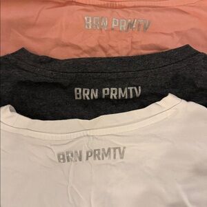 Born Primitive bundle